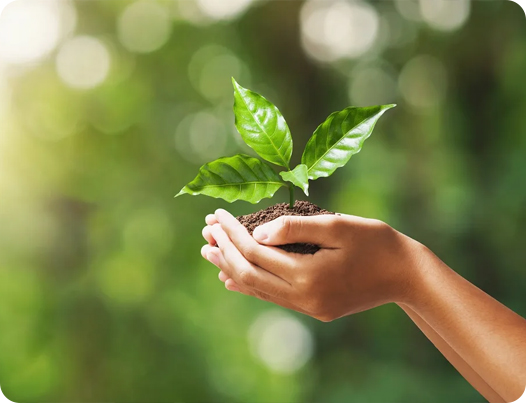 Jiangsu Dingshun Medische Producten Co., Ltd.